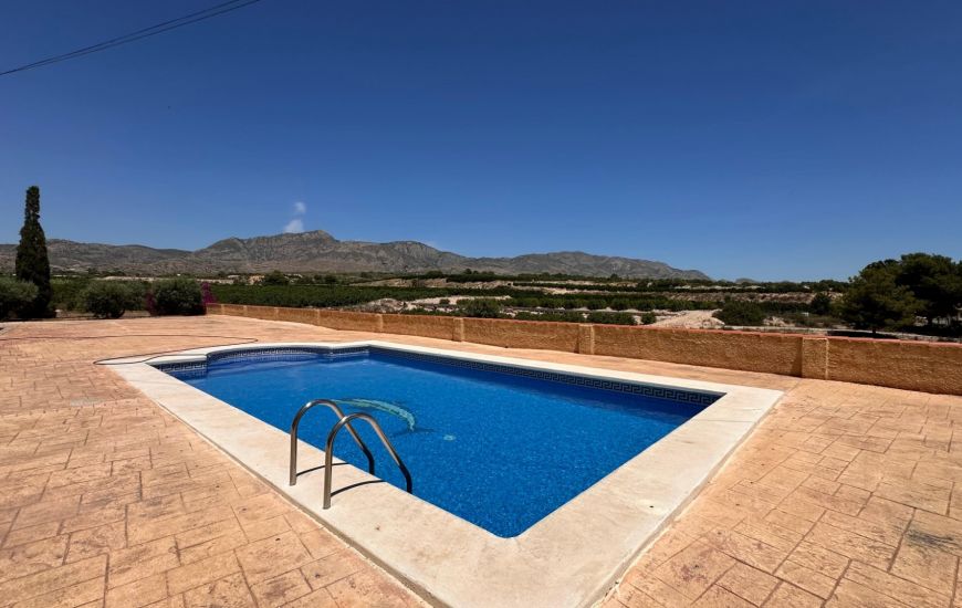 Sale - Finca - Albatera