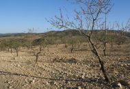 Sale - Land - Murcia