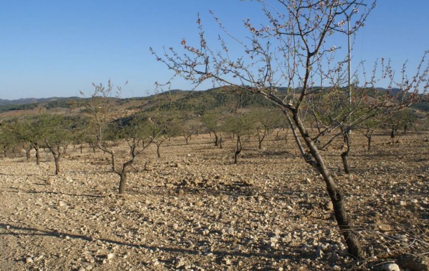 Sale - Land - Murcia
