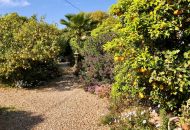 Sale - Finca - Los Montesinos