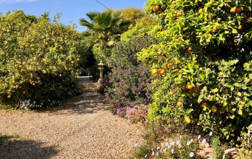 Sale - Finca - Los Montesinos