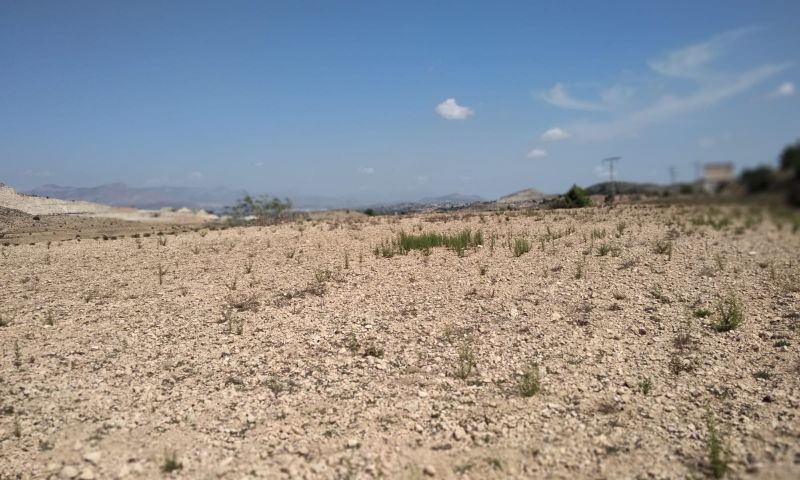 Sale - Land - Hondón de las Nieves