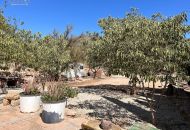 Sale - Finca - Hondon de los Frailes