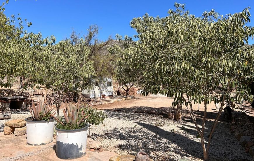 Sale - Finca - Hondon de los Frailes