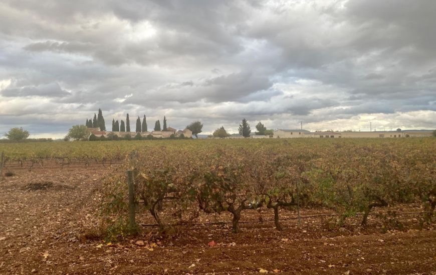 Venta - Comercial - Albacete