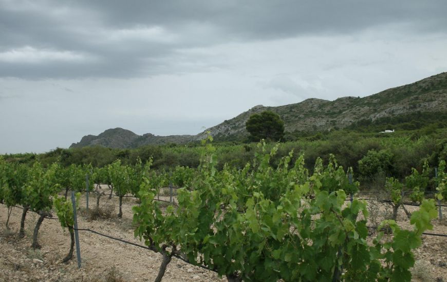 Nueva construcción  - Villa - Yecla