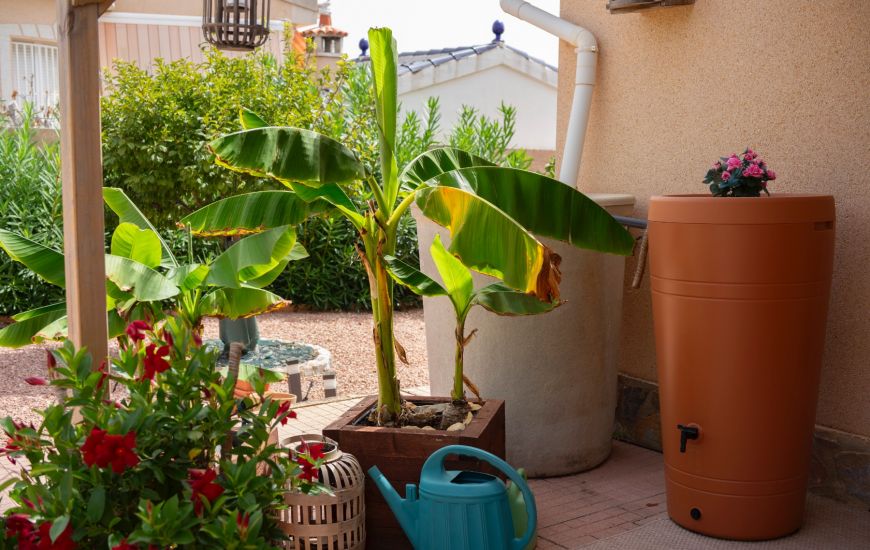 Sale - Villa - Ciudad Quesada