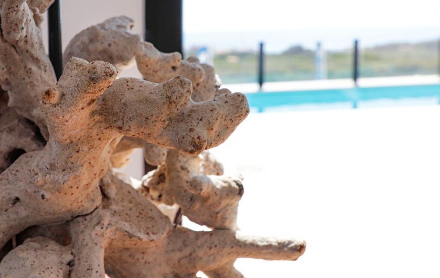 New Build - Villa - Guardamar del Segura