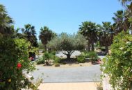Sale - Villa - Daya Nueva
