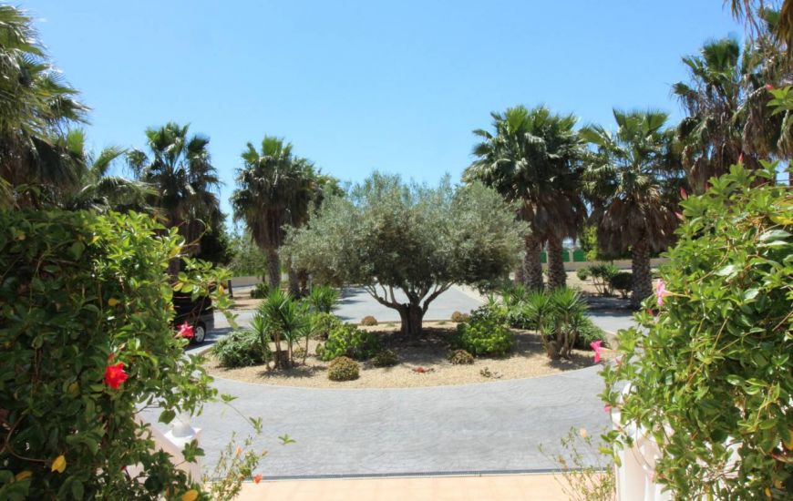 Sale - Villa - Daya Nueva