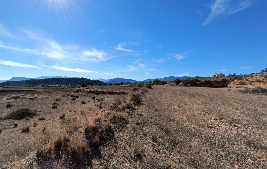 New Build - Country Property - Novelda