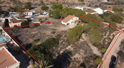 Apartamentos - Venta - Orihuela Costa - Orihuela Costa