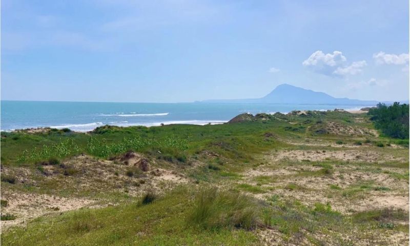 Sale - Villa - Oliva