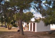 Sale - Finca - Aspe