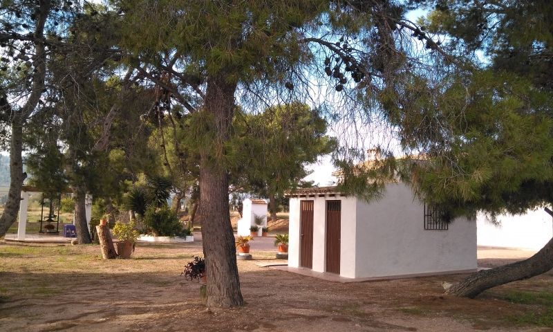 Sale - Finca - Aspe