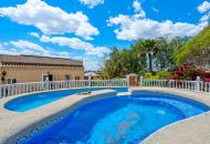 Sale - Finca - Catral