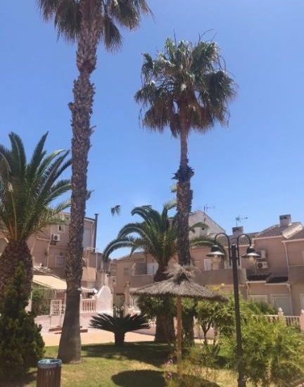 Sale - Villa - Mil Palmerales - Mil Palmeras