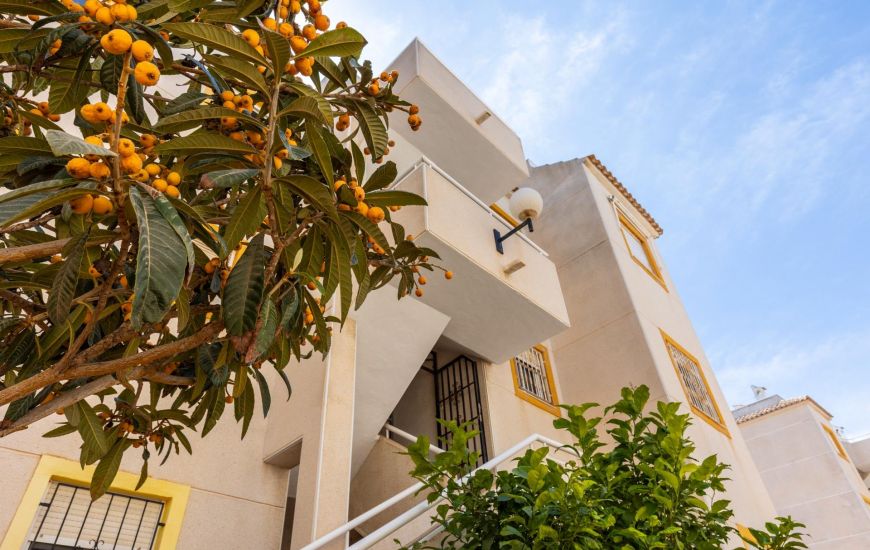 Sale - Apartments - Torrevieja