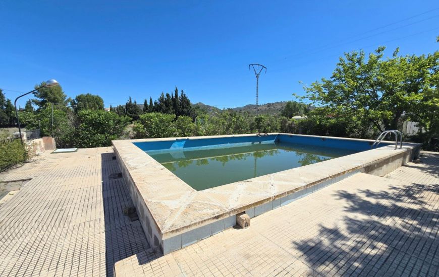 Sale - Finca - Salinas