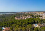 Sale - Land - Algorfa