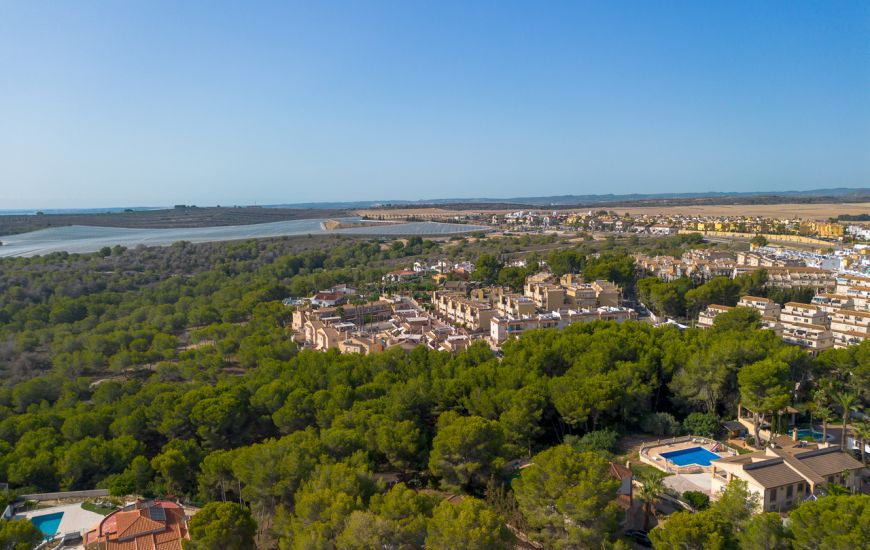 Sale - Land - Algorfa