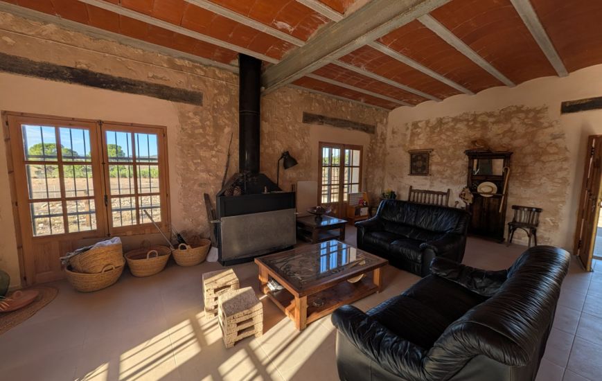 Sale - Finca - Salinas