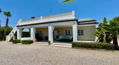 Finca - Sale - Torrellano - Torrellano