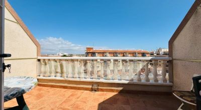 Apartamentos - Venta - La Mata - La Mata