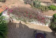 Sale - Apartments - Guardamar del Segura