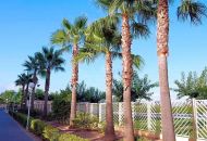 Sale - Villa - 