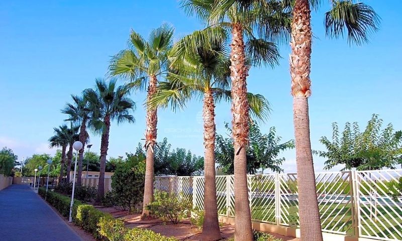 Sale - Villa - 