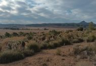 Sale - Land - Murcia