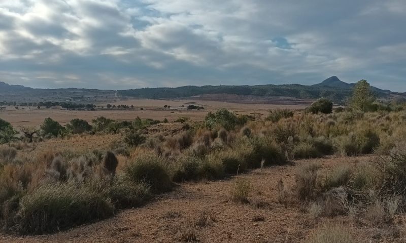 Sale - Land - Murcia