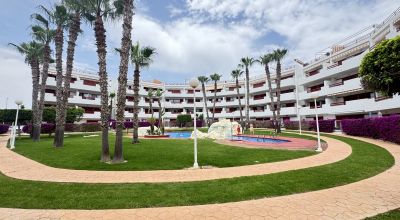 Apartments - Sale - Playa Flamenca - Playa Flamenca