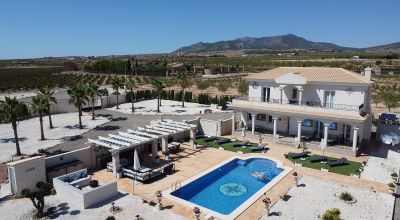 Finca - New Build - Pinoso - Pinoso