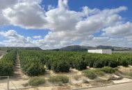Sale - Apartments - Algorfa