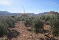 Sale - Finca - Hondon de los Frailes