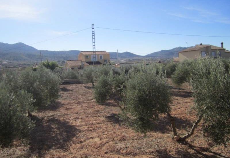 Sale - Finca - Hondon de los Frailes