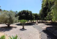 Sale - Villa - Daya Nueva