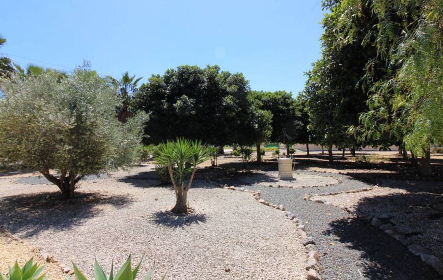 Sale - Villa - Daya Nueva
