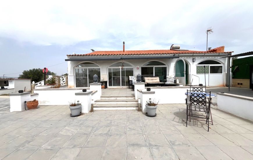 Sale - Finca - Sax