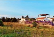 Sale - Villa - Oliva
