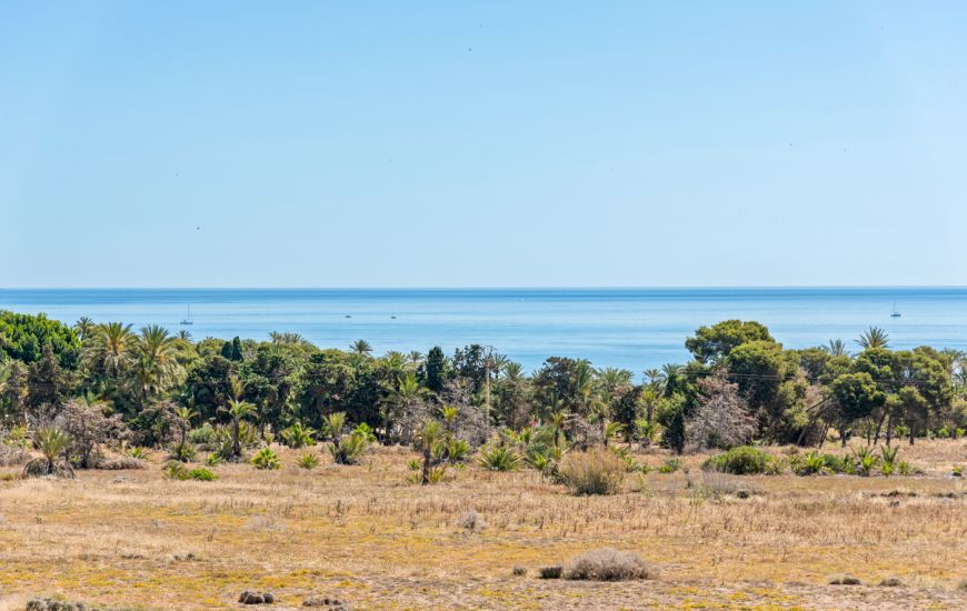 Sale - Apartments - Punta Prima