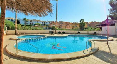 Apartamentos - Venta - Playa Flamenca - Playa Flamenca