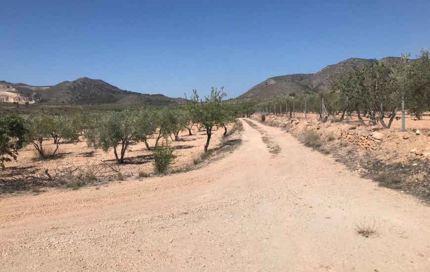 Sale - Finca - Hondón de las Nieves