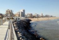 Sale - Apartments - 