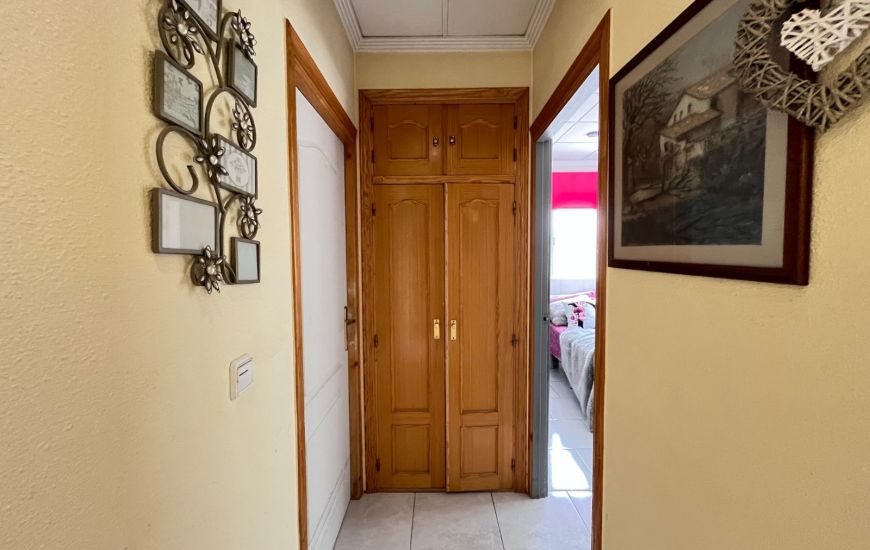 Sale - Finca - Sax