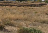 Venta - Terreno - Aspe