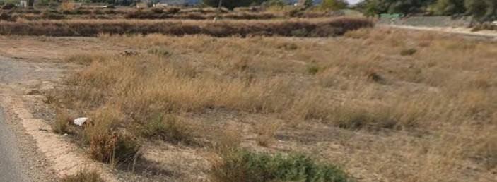 Venta - Terreno - Aspe