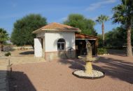 Sale - Finca - Daya Vieja